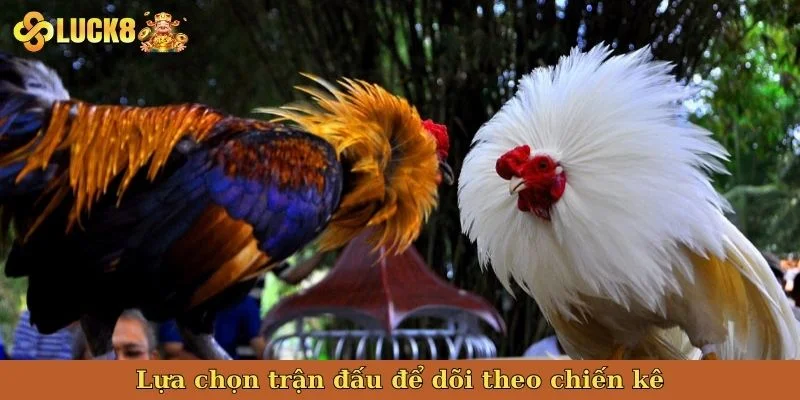 lua-chon-tran-dau-de-doi-theo-chien-ke